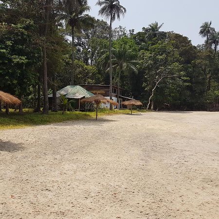 Eco Lodge York 외부 사진